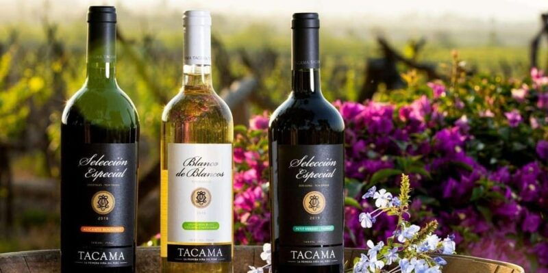 pisco-and-wine-tour-at-night-in-ica