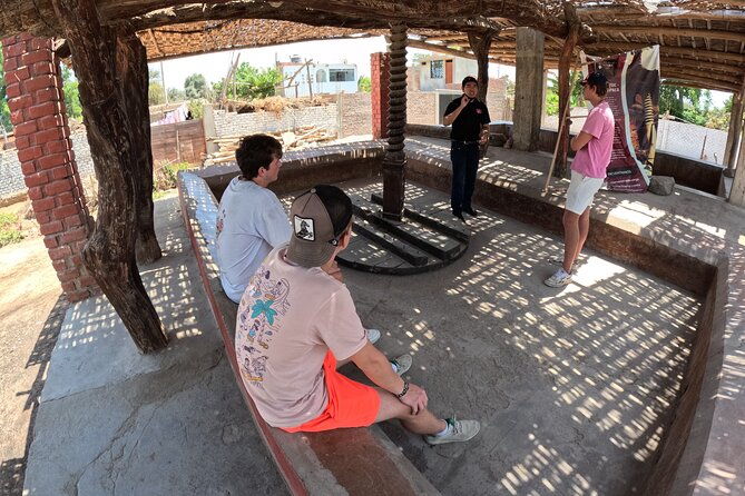 pisco-route-buggies-and-sandboarding-in-the-ica-desert-from-paracas