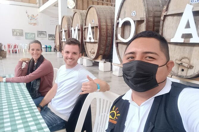 pisco-route-buggies-and-sandboarding-in-the-ica-desert-from-paracas