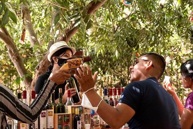 pisco-route-la-caravedo-tacama-and-nietto-vineyard