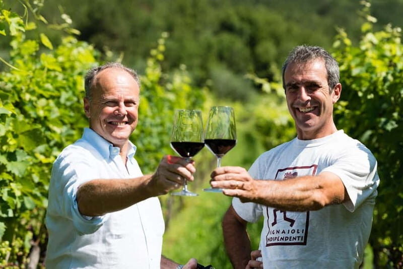 Pisoni: Stories of wine and flavors - Key Points