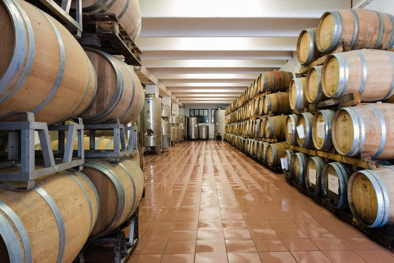 Pisoni: Stories of wine and flavors - Introduction: What is the Pisoni Wine & Flavors Tour?