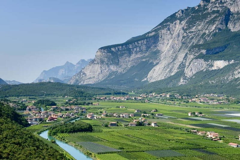 Pisoni: Stories of wine and flavors - The Practicalities: Logistics & Value