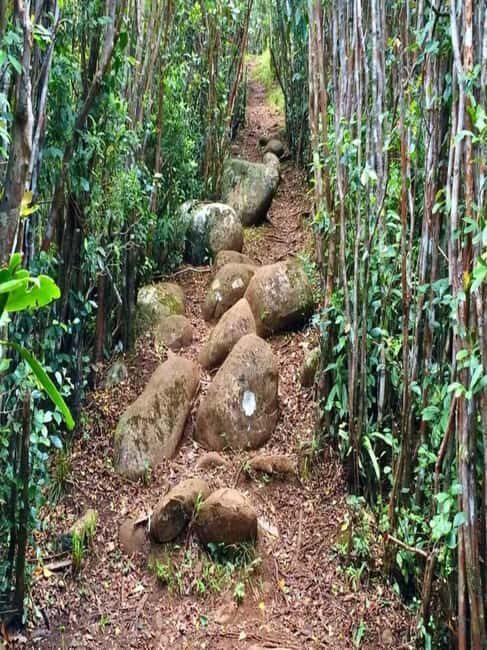 Piton de la petite rivière noire Hike - A Closer Look at the Experience from Reviewers