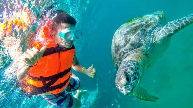 piura-adventure-in-mancora-with-underwater-turtle-encounter