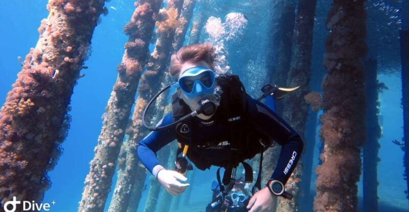 Pivate scuba diving in the Red Sea of Aqaba - Key Points  
