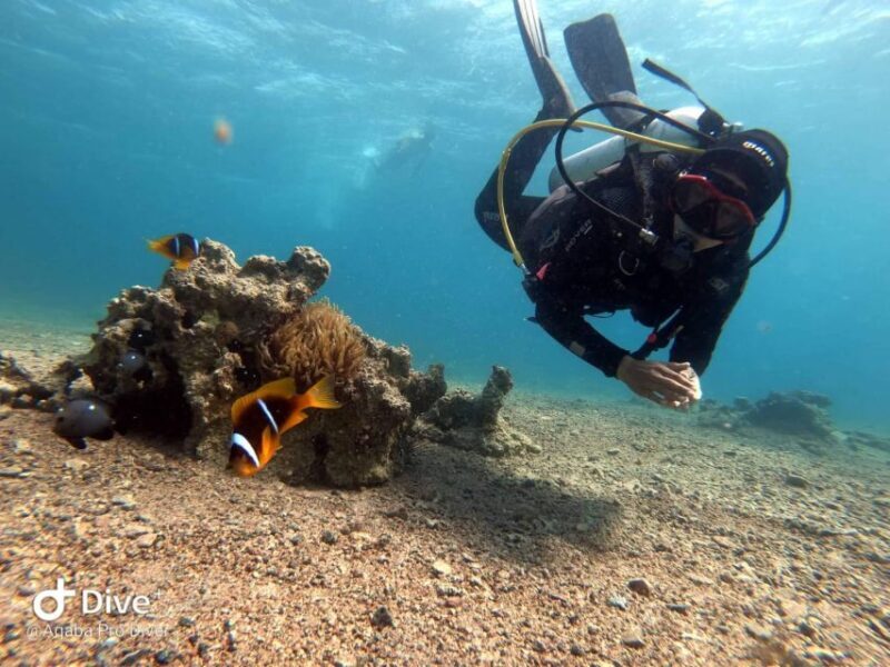 Pivate scuba diving in the Red Sea of Aqaba - Who Is This Tour Best Suited For?
