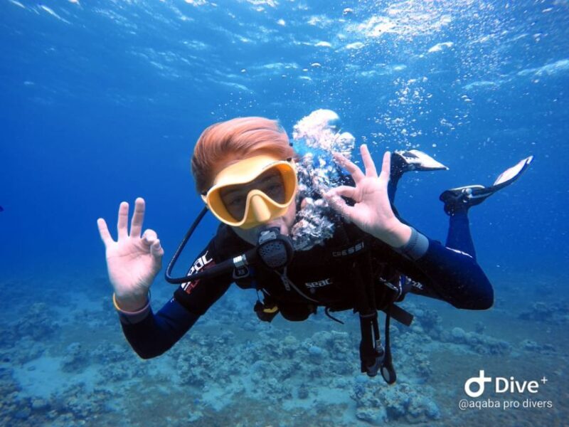 Pivate scuba diving in the Red Sea of Aqaba - FAQ