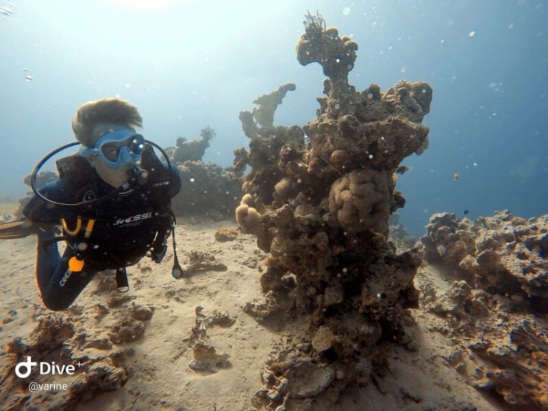 Pivate scuba diving in the Red Sea of Aqaba - Final Thoughts