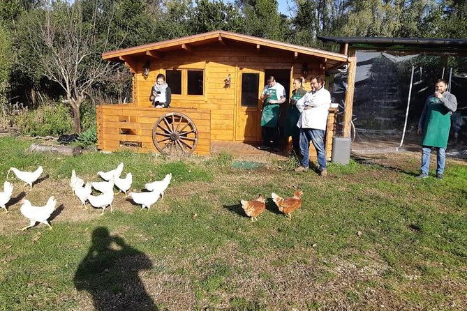 pizza-and-pasta-master-class-in-rome-with-wine-and-tiramisu