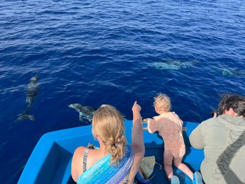 pizzo-fishing-snorkeling-dolphin-watching