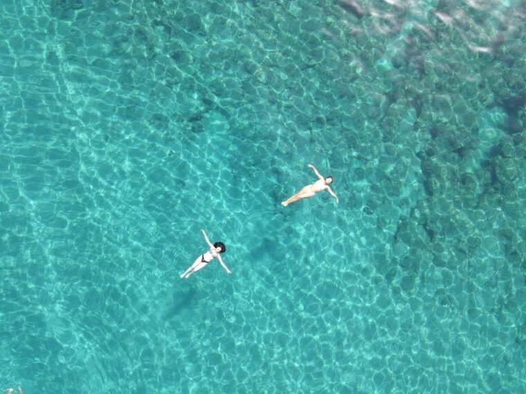 pizzo-fishing-snorkeling-dolphin-watching