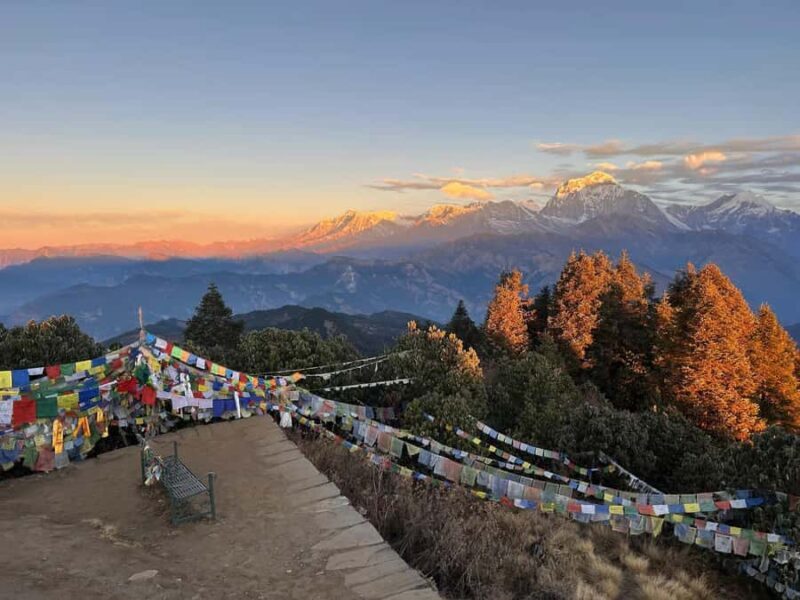 Pkr/Kathmandu: 3-Days Poonhill Private Trek - An In-Depth Look at the 3-Day Poon Hill Trek