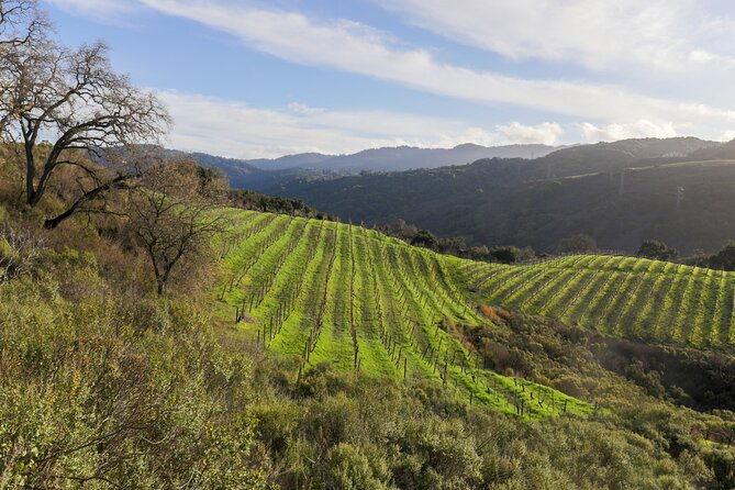 placer-county-wine-tasting-pass