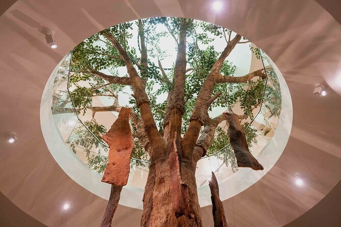 planet-cork-entry-ticket-at-wow