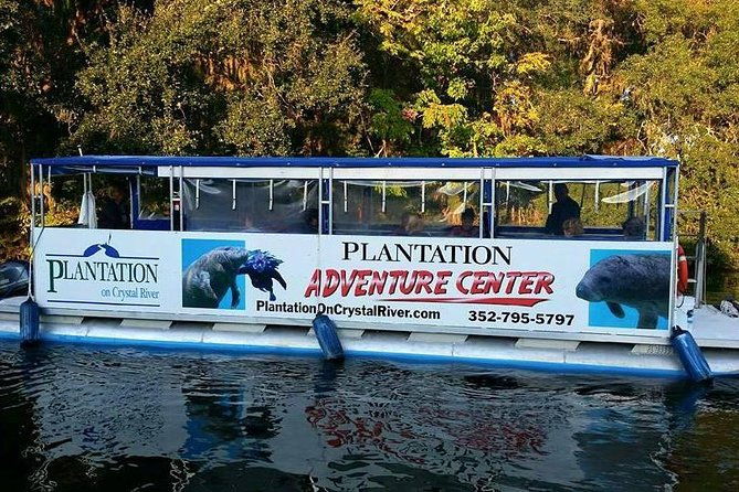 plantations-kings-bay-scenic-cruise