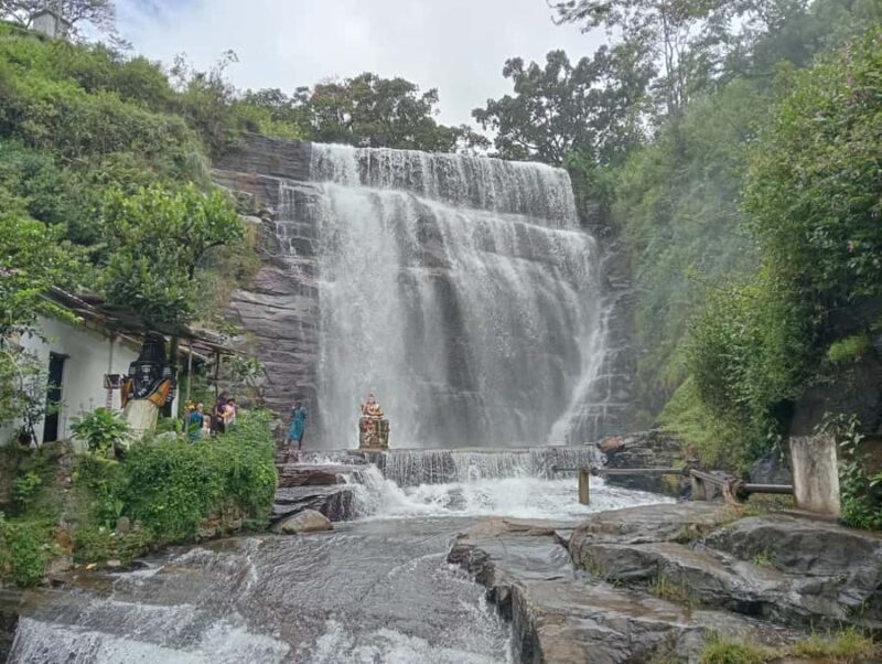 Plantations Tuk-Tuk Tour in Nuwara Eliya - Introduction: What makes this tour worth considering?