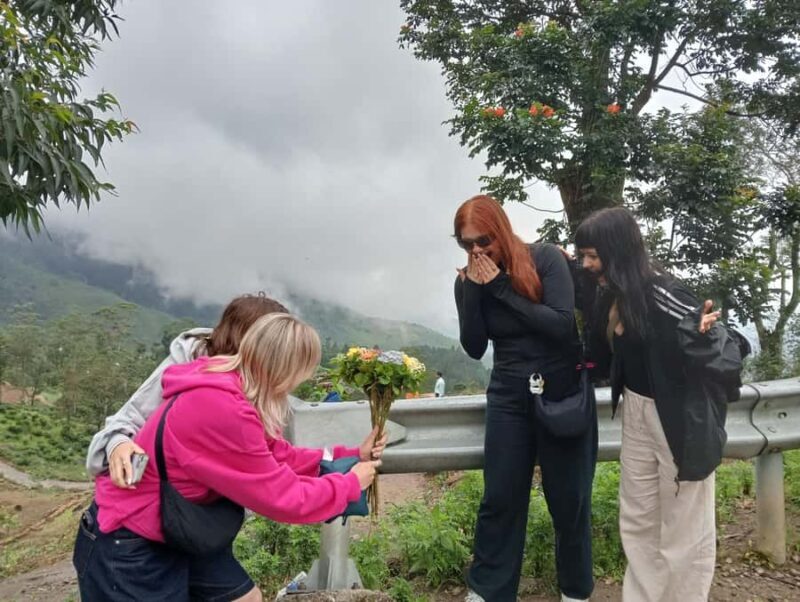 Plantations Tuk-Tuk Tour in Nuwara Eliya - Key Points
