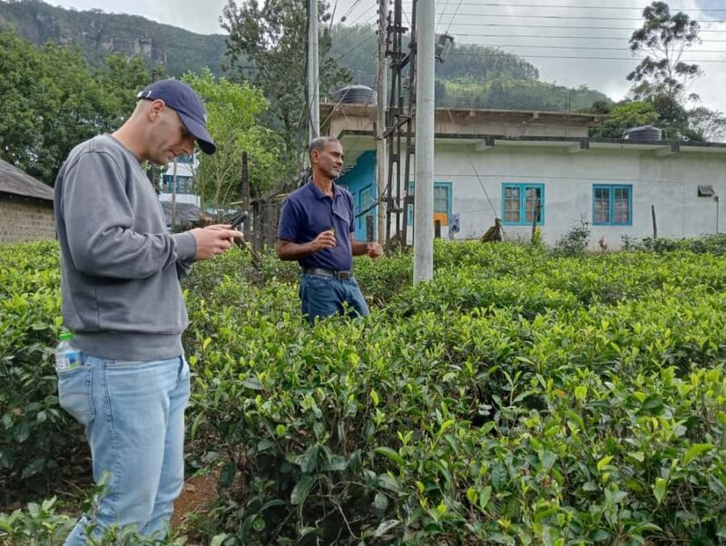 Plantations Tuk-Tuk Tour in Nuwara Eliya - Final Thoughts: Is this tour right for you?