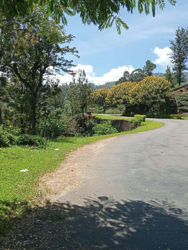 Plantations Tuk-Tuk Tour in Nuwara Eliya - FAQs