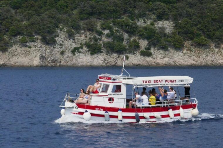 plavnik-island-wild-bays-boat-ride-with-capt-bobo-4-5h