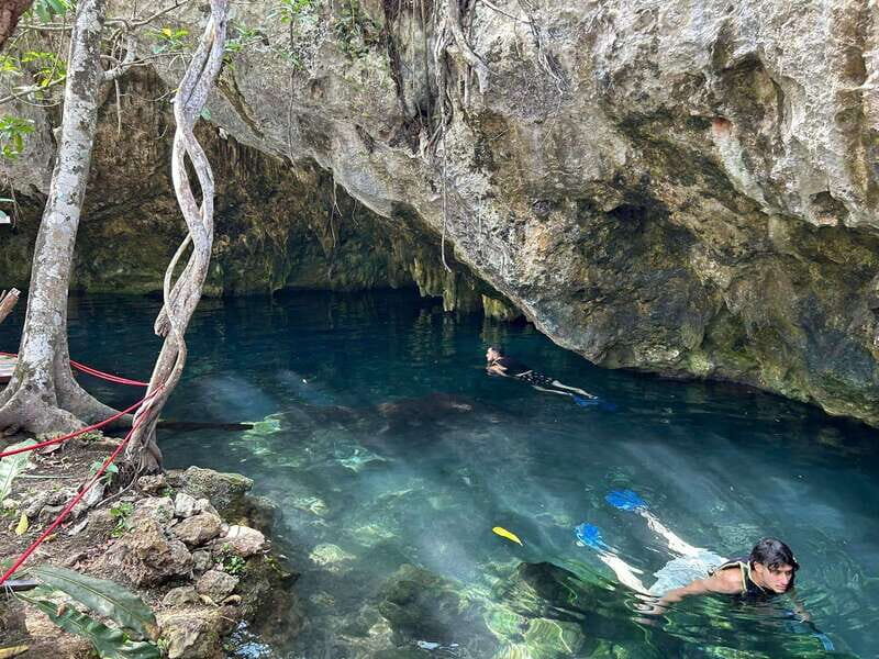 Playa del Carmen: 3 Cenotes & 1 Lagoon - The Sum Up