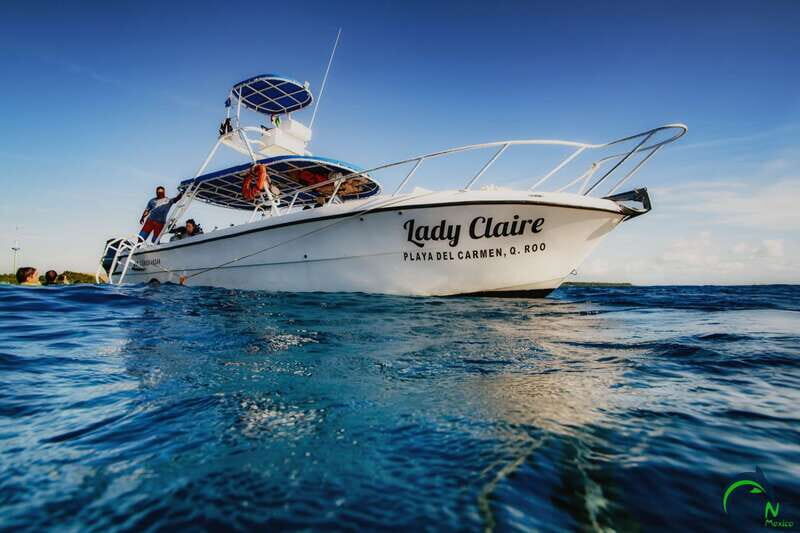Playa del Carmen: Beginner Scuba Diving Experience - What Makes This Experience Stand Out?