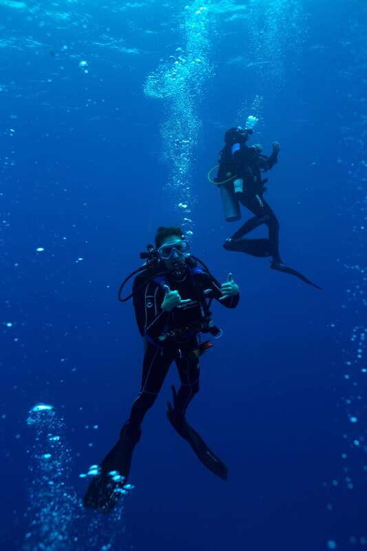 Playa del Carmen: Bull Shark Diving Experience - FAQ
