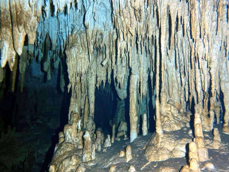 Playa del Carmen: Cenote Diving Experience - The Experience from a Traveler’s Perspective