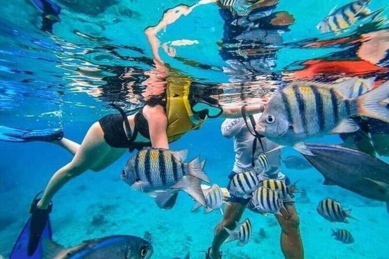 Playa del Carmen: Cozumel Snorkeling Experience - Key Points
