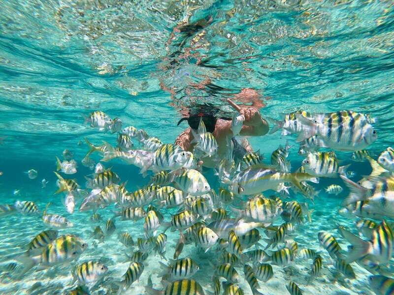Playa del Carmen: Cozumel Snorkeling Experience - Final Thoughts: Is It Worth It?