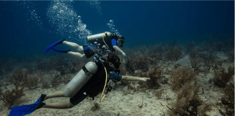 Playa del Carmen: Discover Scuba Diving - What’s Included and What’s Not?