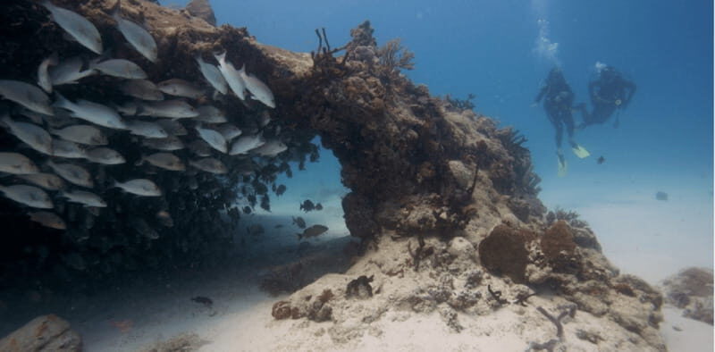 Playa del Carmen: Discover Scuba Diving - The Experience and Atmosphere