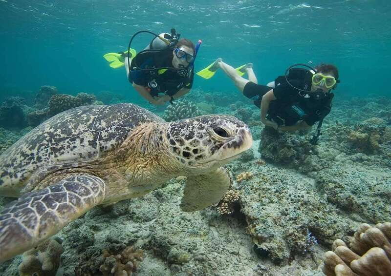 Playa del Carmen: Discover the Surreal World of Scuba Diving - Practical Details & Tips