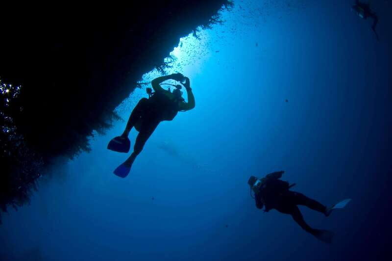 Playa del Carmen: Dive into our Local Reefs Today! - The Experience Providers: Who’s Behind It?