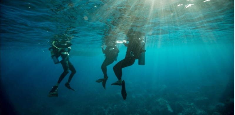 Playa del Carmen: Divemaster Course - Dive Logistics and Equipment