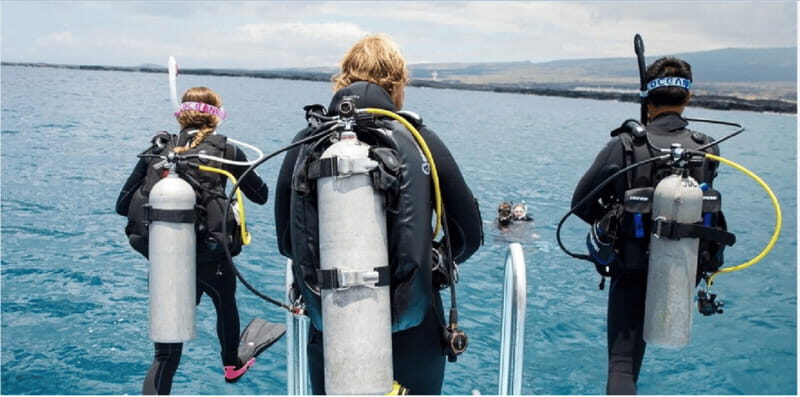 Playa del Carmen: Divemaster Course - Who Would Love This Course?