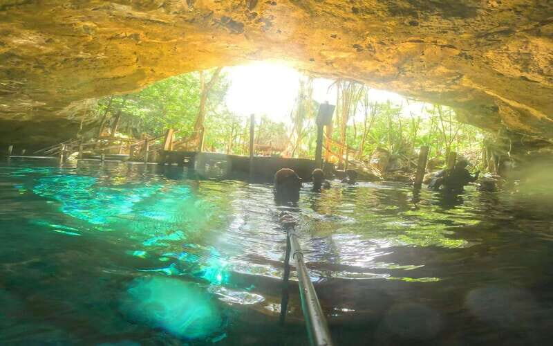 Playa del Carmen: Dos Ojos Cenote 2 scuba dives without tran - Key Points
