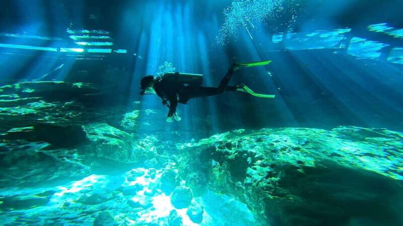 Playa del Carmen: Dos Ojos Cenote 2 scuba dives without tran - Discovering Dos Ojos: What to Expect
