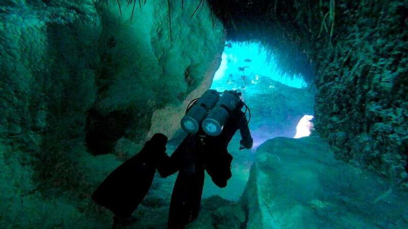 Playa del Carmen: Dual Realm Diving (Cenote + Reef Diving) - Key Points