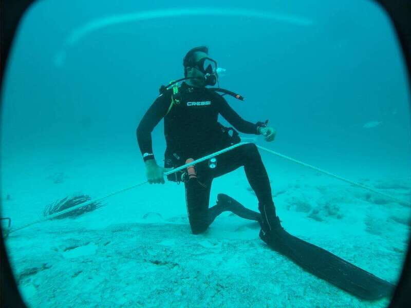 Playa del Carmen: Dual Realm Diving (Cenote + Reef Diving) - Who Is This Tour Best For?