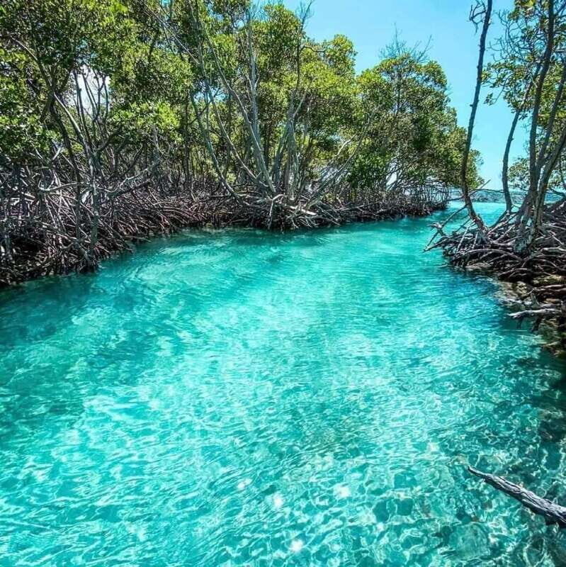 Playa del Carmen: Explore Great Sian Kaan Island - An In-Depth Look at the Sian Kan Biosphere Tour