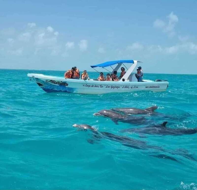 Playa del Carmen: Explore Great Sian Kaan Island - Final Thoughts: Is It Worth It?