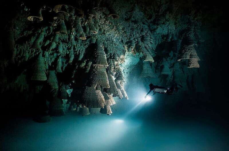 Playa del Carmen: Explore the Surreal World of Cenote Diving - Key Points