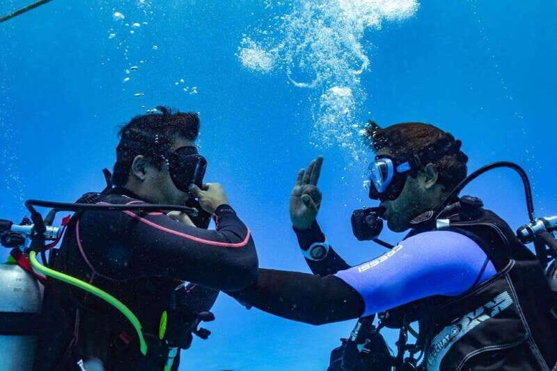 Playa del Carmen: Fun Dive Experience for Certified Divers - How the Experience Breaks Down