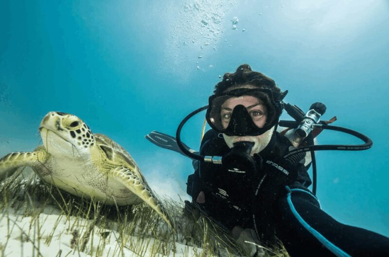 Playa del Carmen: Guided Reef Diving for Certified Divers - FAQ