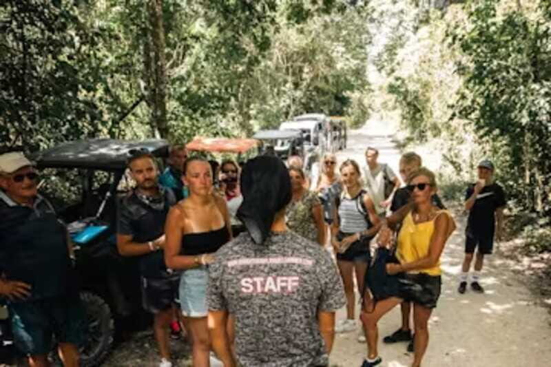 Playa del Carmen: Lush Jungle Buggy Tour - Exploring the Jungle in Style