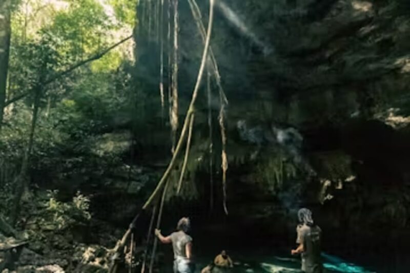 Playa del Carmen: Lush Jungle Buggy Tour - The Sum Up