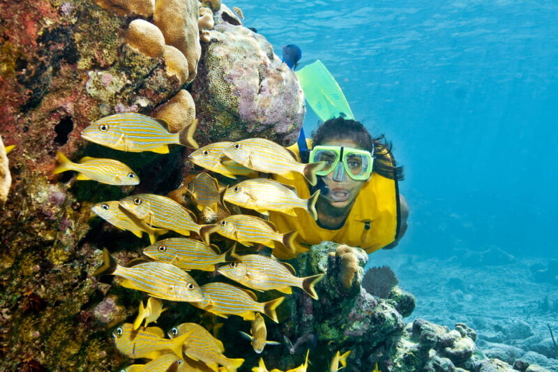 Playa del Carmen: Mayan Adventour & Snorkeling in Cenote - The Value of This Tour