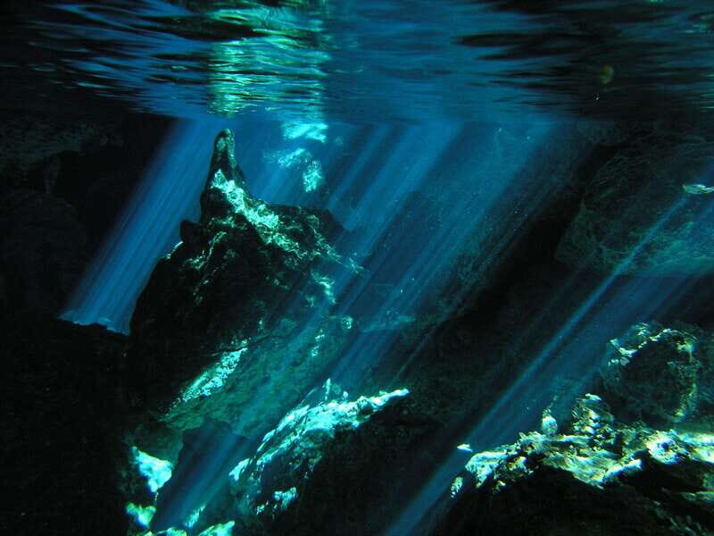 Playa del Carmen: Mind-Blowing Diving at Cenote Dos Ojos - Diving Experience & Safety